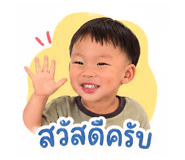 852212529
