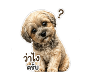 852213212
