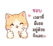 852223104