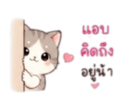 852223107