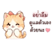 852223110