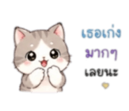 852223111