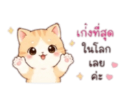 852223116