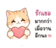 852223120