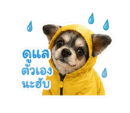852223255