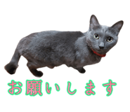 852224398