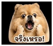 852224853