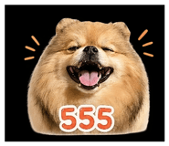 852224855