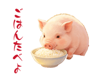 852227900