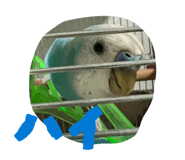 852228681