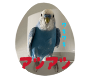 852228683