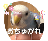 852228686