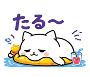 852231557