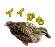 852232938