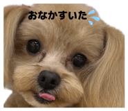 852233570