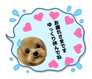 852233572
