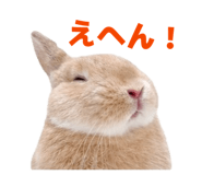 852233881