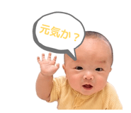 852233884