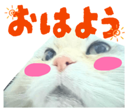 852233893