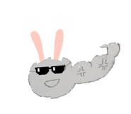 852234259