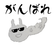 852234262