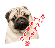 852234636