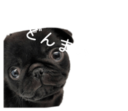 852234638