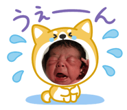 852234913