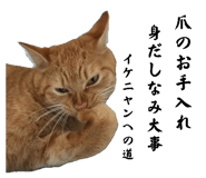 852235562