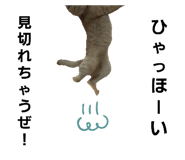 852235563