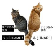 852235583
