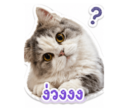 852237493