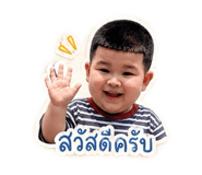 852238113