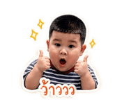 852238114