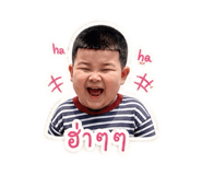 852238116