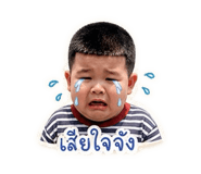 852238120