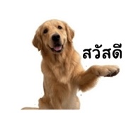 852238145