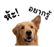 852238150