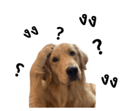 852238155