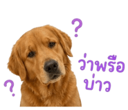 852238246