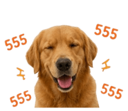 852238257