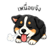 852240043