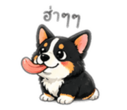 852240060