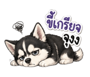 852243120