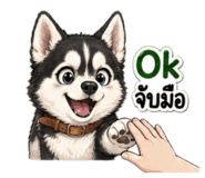 852243122