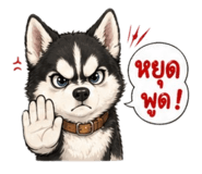 852243125