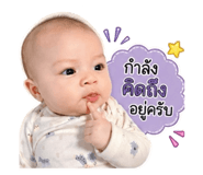 852243442