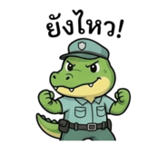 852245135