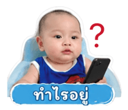 852245560