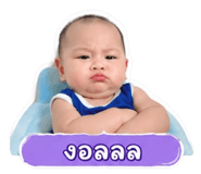 852245561